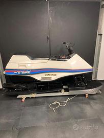 Suzuki wetbike sprint marine 1980