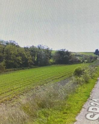 Terreno agricolo in agro di San Paolo di Civitate