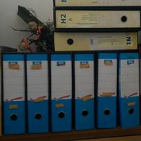 Raccoglitori/dox/dossier da ufficio
