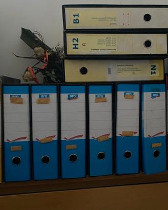 Raccoglitori/dox/dossier da ufficio