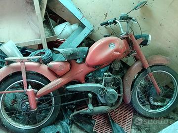 Motom 50