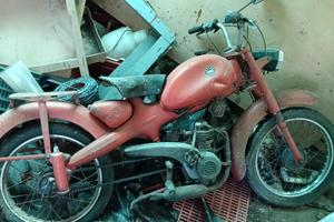 Motom 50