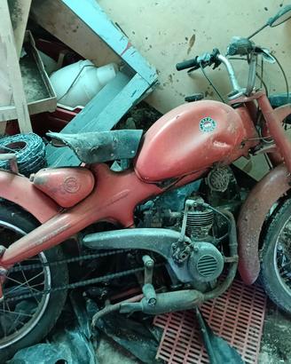 Motom 50