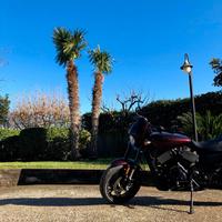 Harley-Davidson Street Rod - 2019