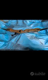 Arco Fulpa, dettagli nelle foto 