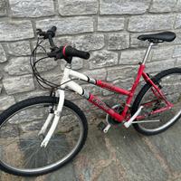 Bicicletta mountain bike