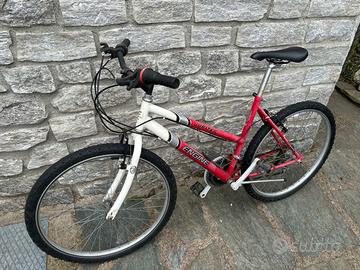 Bicicletta mountain bike