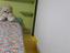 Immagine 6