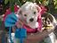 Immagine 4