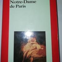 Libro Notre Dame de Paris