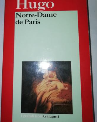 Libro Notre Dame de Paris