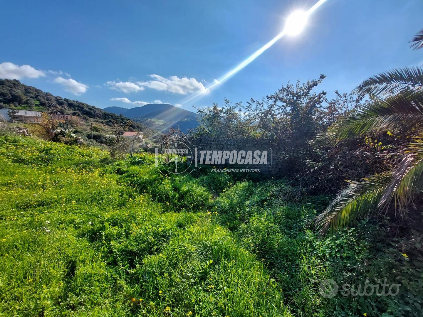TERRENO DI UN ETTARO CON RUDERE A PATTI. - Vista 2