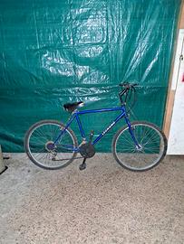 bicicletta da ragazzo/uomo