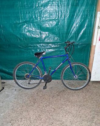 bicicletta da ragazzo/uomo