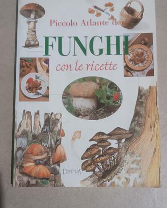 Piccolo atlante dei funghi con le ricette