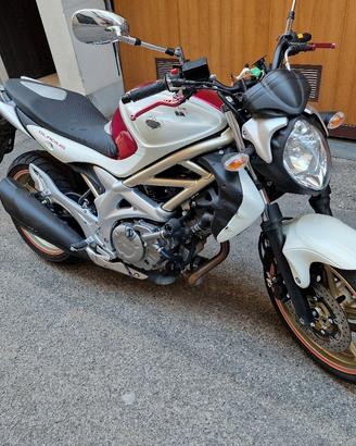 Suzuki Gladius 650 cc  71 cv 