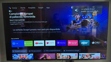 TV Sony OLED 65” MASTER Series AF9 + staffa Vogel’