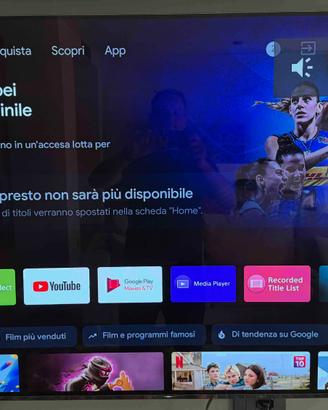 TV Sony OLED 65” MASTER Series AF9 + staffa Vogel’
