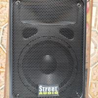 casse 2 pezzi  amplificate  da 100w ognuna