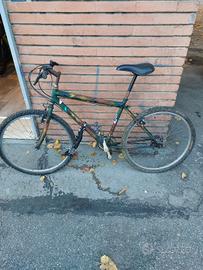 Bicicletta da città