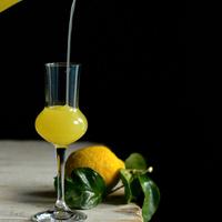 Liquori fatti in casa