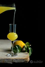 Liquori fatti in casa