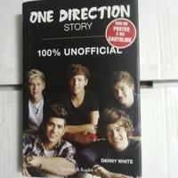one direction story