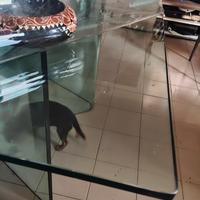 Tavolo in vetro 140x90