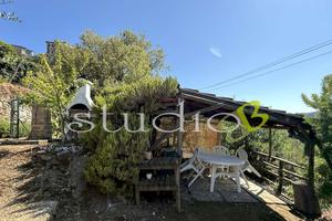 Perinaldo - Rif. BL1069