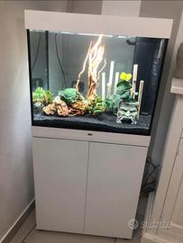Acquario juwel 200