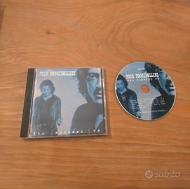 Cd Fede Poggipollini, Via Zamboni 59