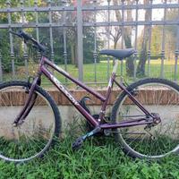 Mtb donna