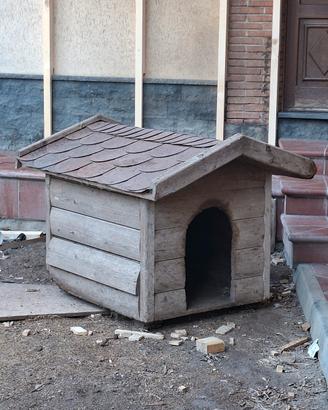 Cuccia per Cani