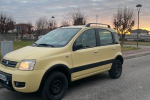 Panda 4x4