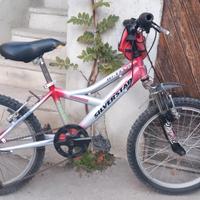 bicicletta 20 pollici