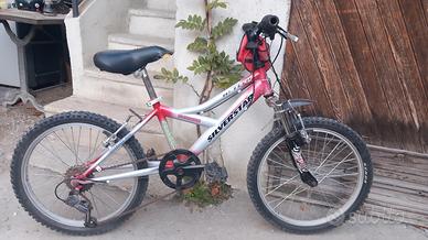 bicicletta 20 pollici