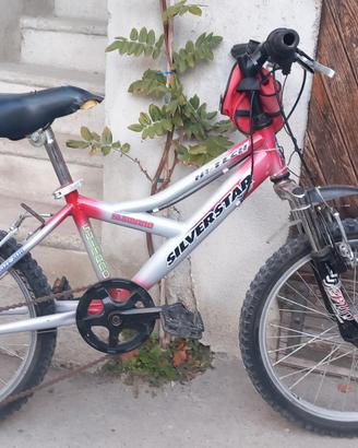 bicicletta 20 pollici