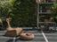 Immagine 17