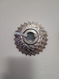 pacco pignoni 11 sped.