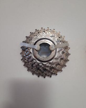 pacco pignoni 11 sped.