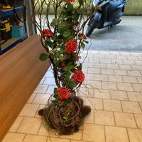 Composizione d’arredo