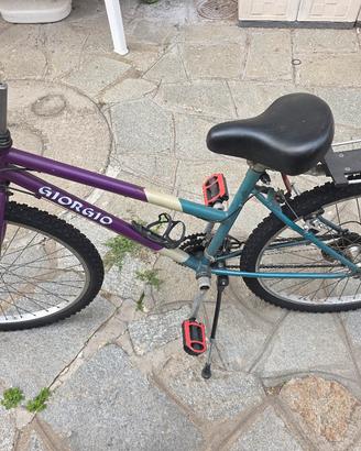Bicicletta Mountain Bike / Mtb Giorgio 26"

