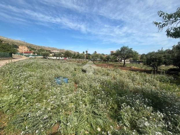 TER. AGRICOLO A PALERMO