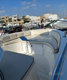 Saver 580 Yamaha 150