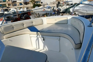 Saver 580 Yamaha 150