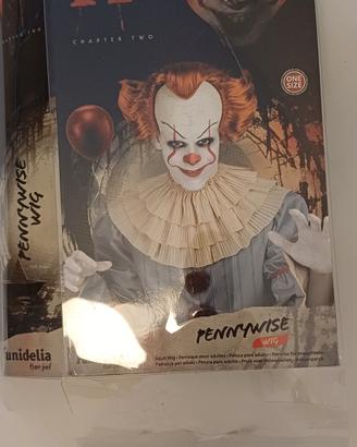 Costume di pennywise 
