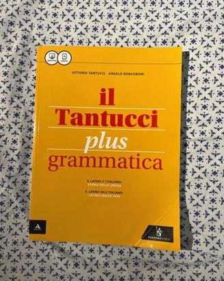 Libro di grammatica latina per superiori