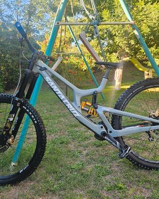 santa cruz v10 