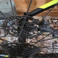 Bici elettrica 