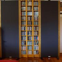 Diffusori isodinamici Tuscanini Auge (Magneplanar)